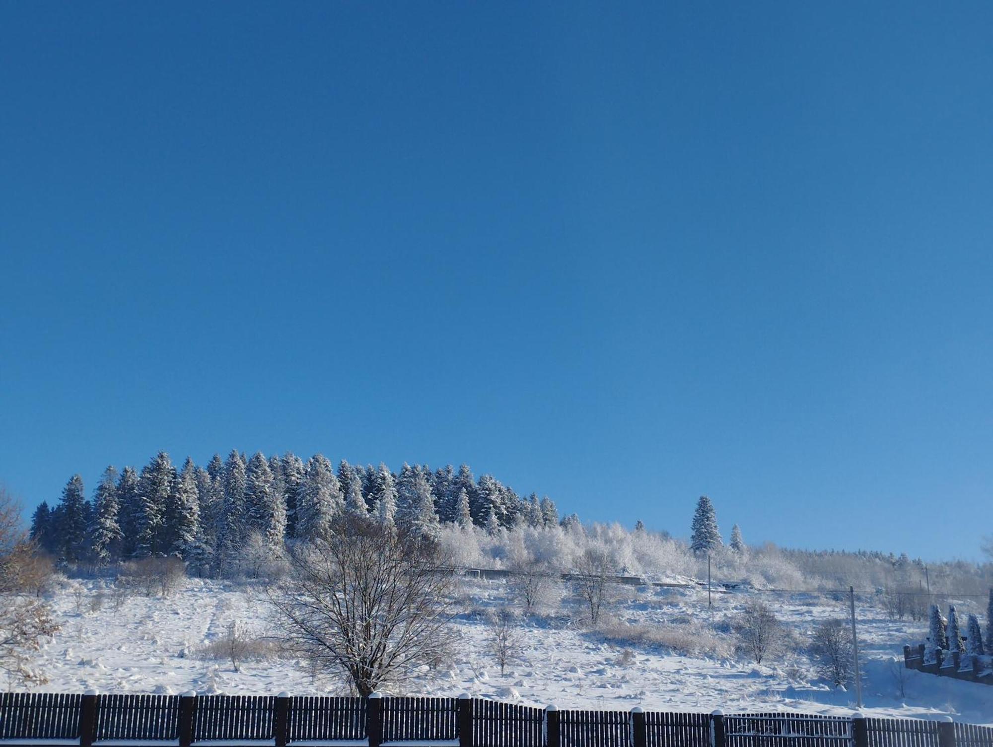 Перлина Карпат Apartment Skhidnytsia Bagian luar foto